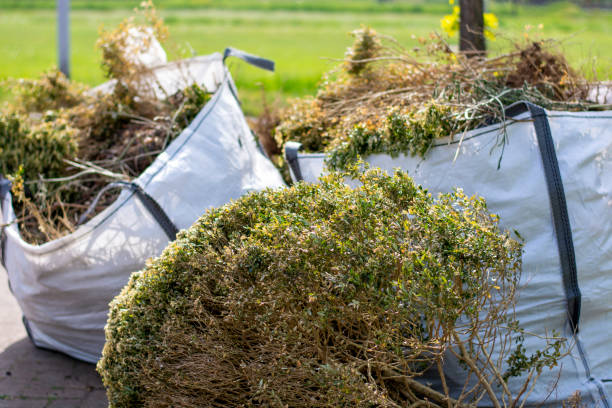 Best Trash Removal Near Me  in Benton, AR